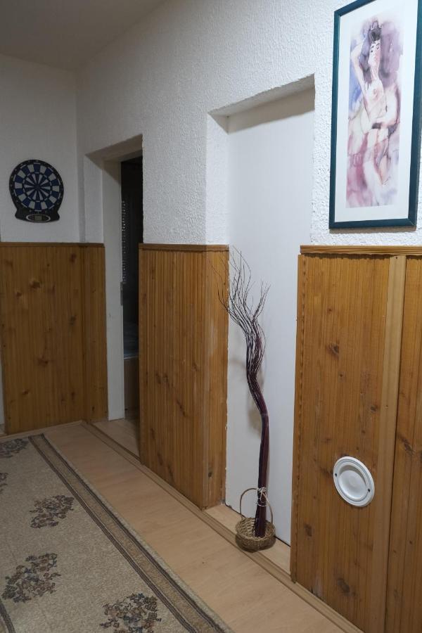 Apartmán Nikodijevic Vrsac Exteriér fotografie